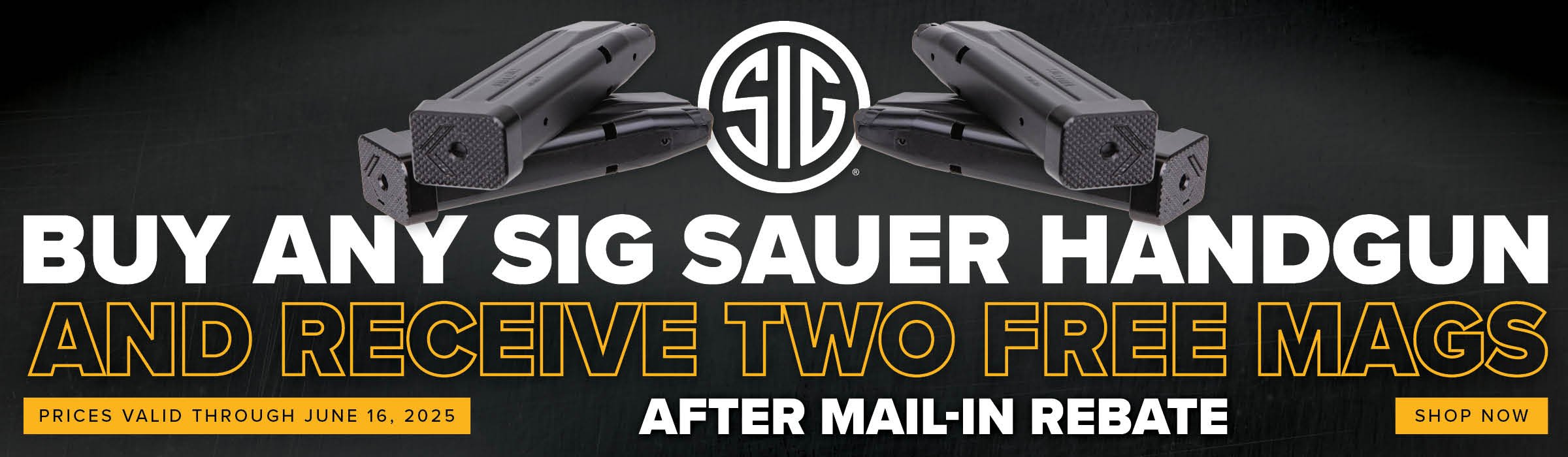 SIG Two Free Magazines Promo